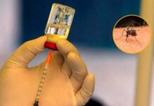 Amplían la vacunación contra el dengue a más grupos etarios