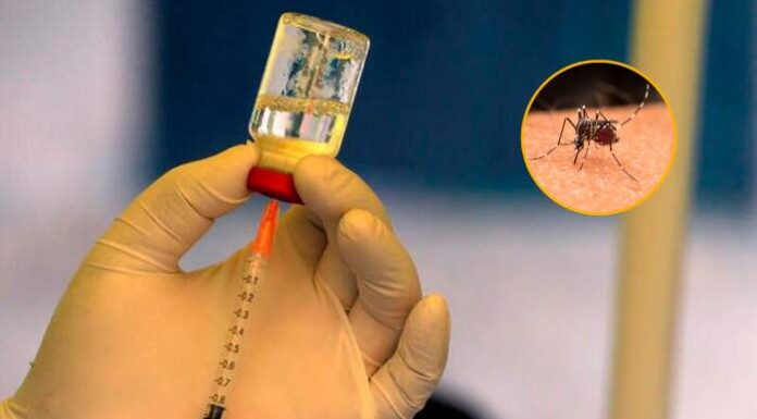 Amplían la vacunación contra el dengue a más grupos etarios