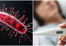 ALERTA! Brote de fiebre tifoidea en Argentina