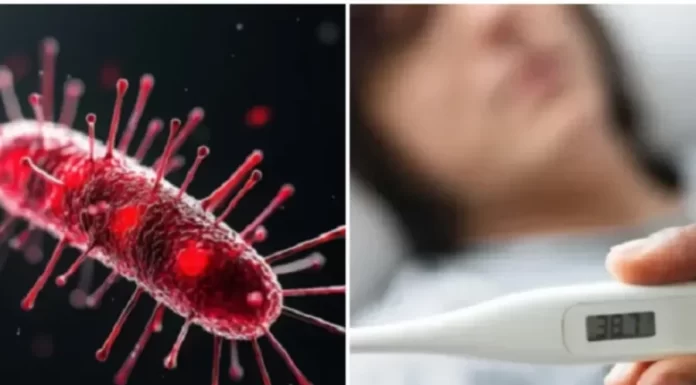 ALERTA! Brote de fiebre tifoidea en Argentina