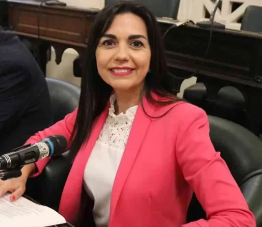 «Siempre en año electoral no es momento para tocar el tema boleta única»