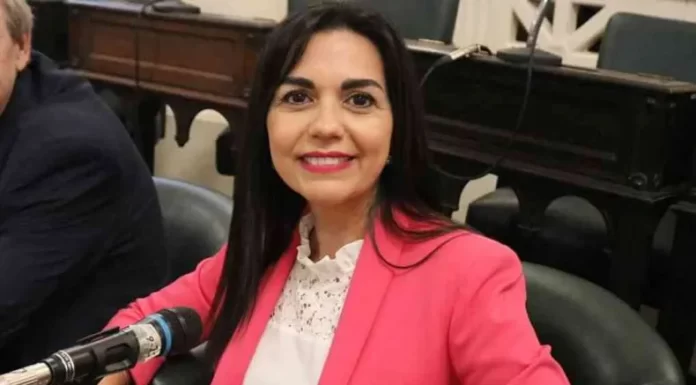 «Siempre en año electoral no es momento para tocar el tema boleta única»