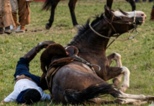 Tragedia: murió al caer del caballo mientras arreaba ganado