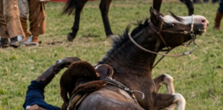 Tragedia: murió al caer del caballo mientras arreaba ganado