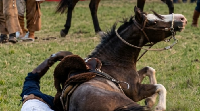 Tragedia: murió al caer del caballo mientras arreaba ganado